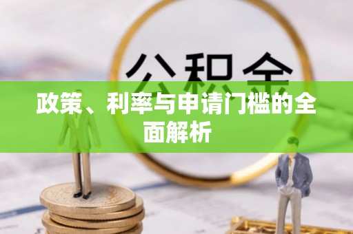 嵩明政策、利率与申请门槛的全面解析