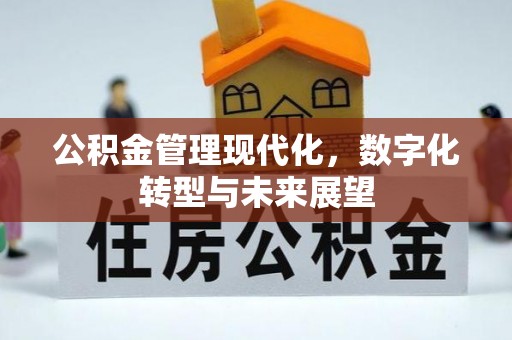 嵩明公积金管理现代化，数字化转型与未来展望