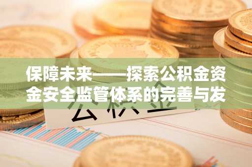 嵩明保障未来——探索公积金资金安全监管体系的完善与发展