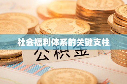 嵩明社会福利体系的关键支柱