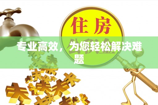 嵩明专业高效，为您轻松解决难题