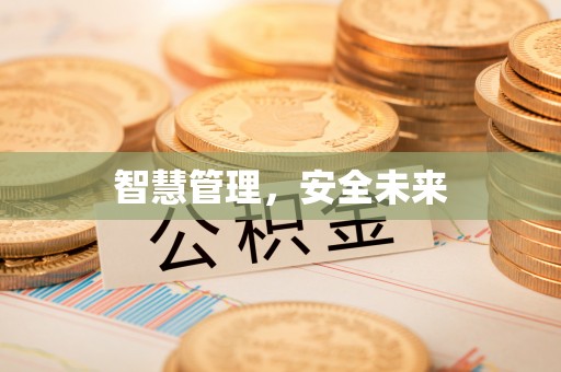嵩明智慧管理，安全未来