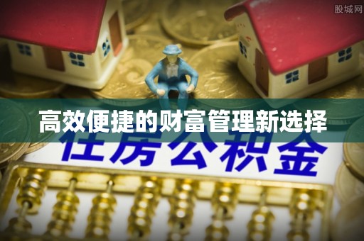 嵩明高效便捷的财富管理新选择