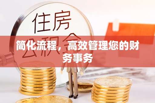 嵩明简化流程，高效管理您的财务事务