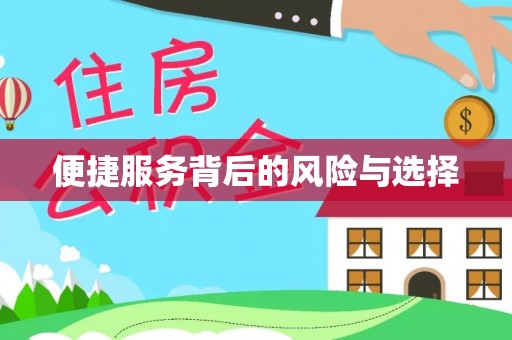 嵩明便捷服务背后的风险与选择