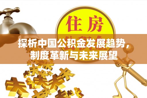 嵩明探析中国公积金发展趋势，制度革新与未来展望