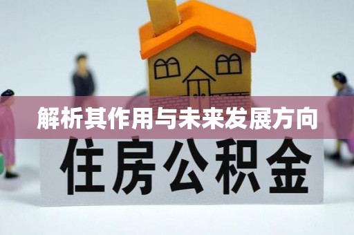 嵩明解析其作用与未来发展方向