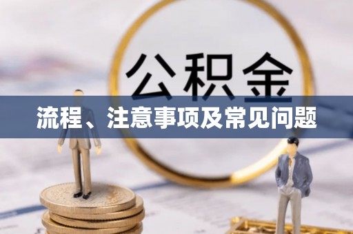 嵩明流程、注意事项及常见问题