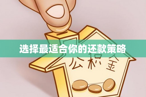嵩明选择最适合你的还款策略