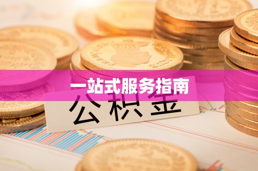 嵩明一站式服务指南