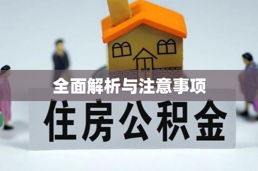 嵩明全面解析与注意事项