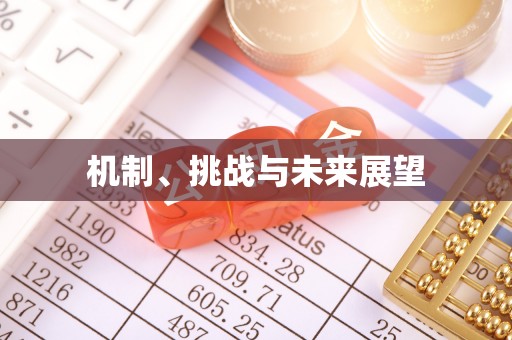 嵩明机制、挑战与未来展望