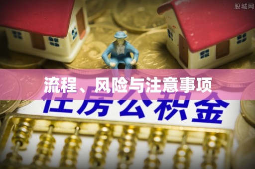 嵩明流程、风险与注意事项