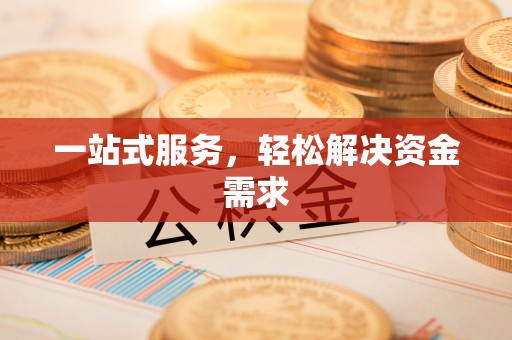 嵩明一站式服务，轻松解决资金需求