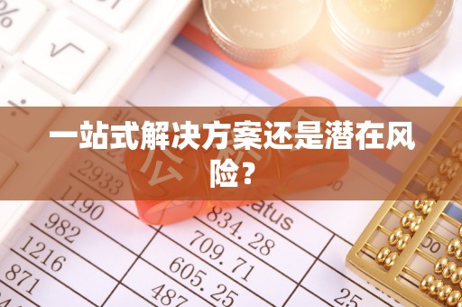 嵩明一站式解决方案还是潜在风险？