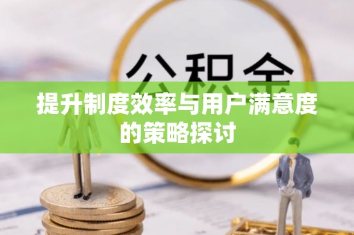 嵩明提升制度效率与用户满意度的策略探讨