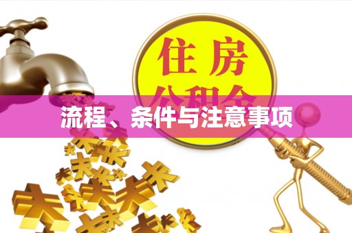 嵩明流程、条件与注意事项
