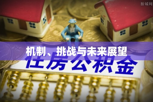 嵩明机制、挑战与未来展望